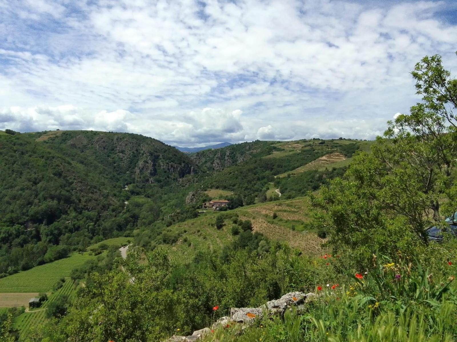 Gites De Revirand Sarras Екстериор снимка