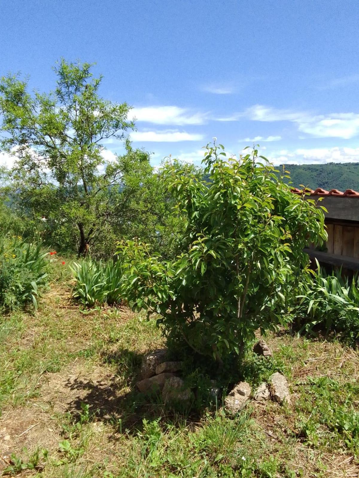 Gites De Revirand Sarras Екстериор снимка