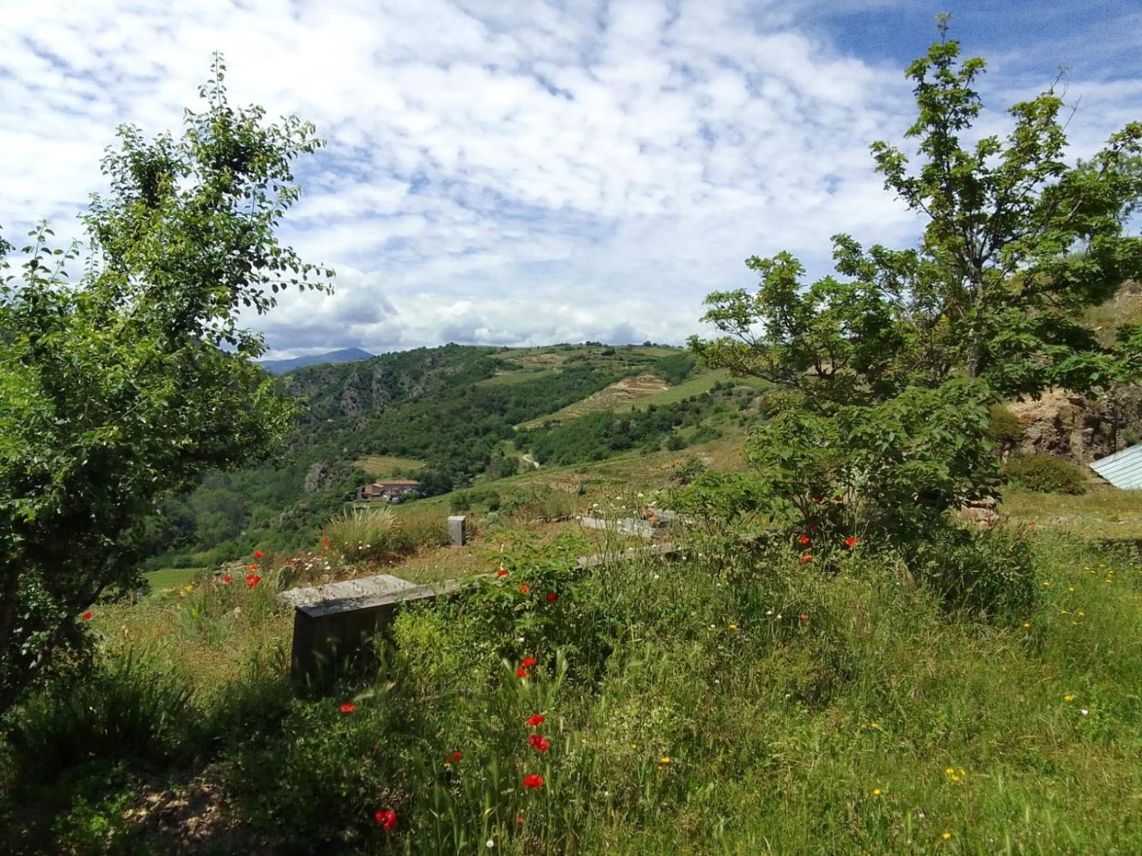 Gites De Revirand Sarras Екстериор снимка